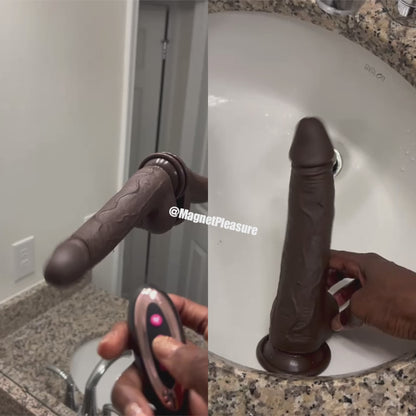 Chocolate Daddy (Anaconda)